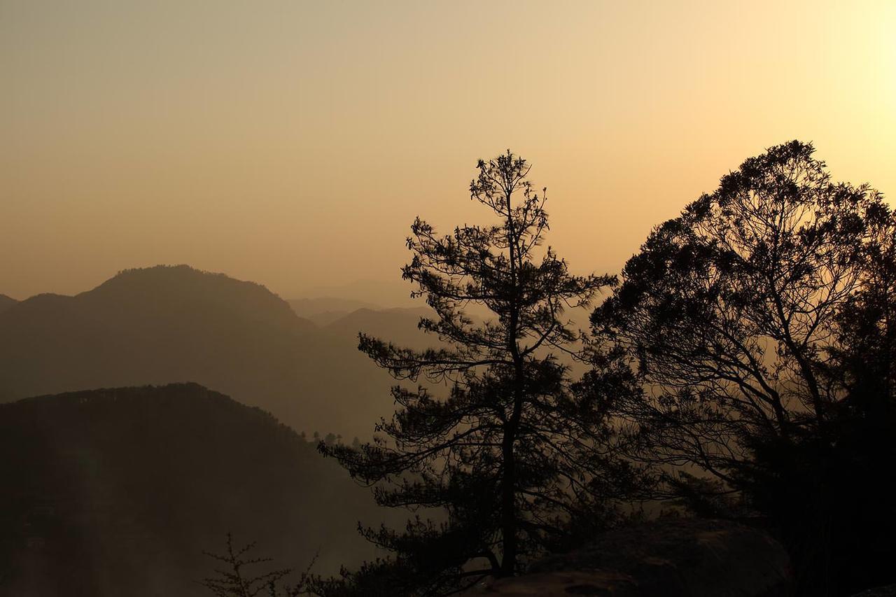 Hotel The Naldehra Shimla Exterior foto